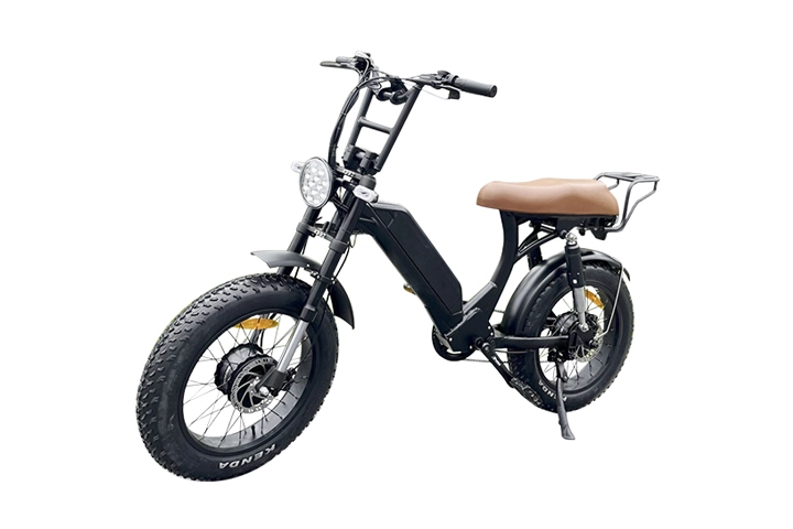 ebike dual motor