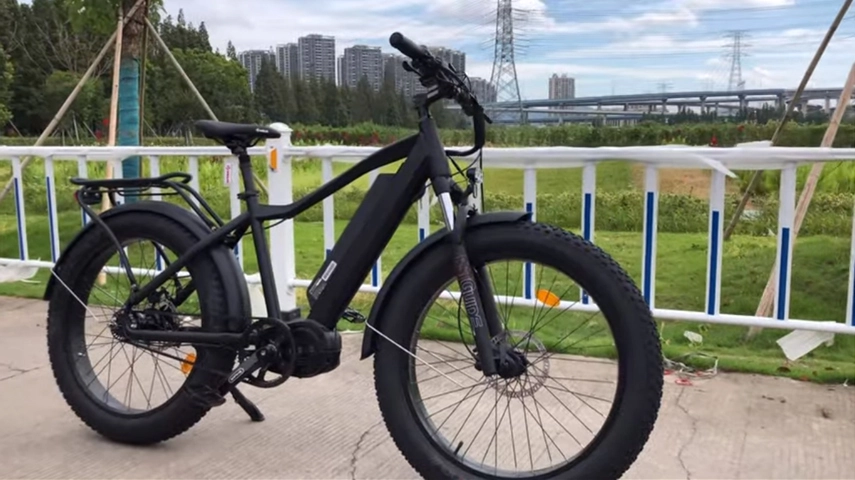 Μεγάλη δύναμη 1000W λίπος ελαστικό Ebike με κεντρική μοτέρα