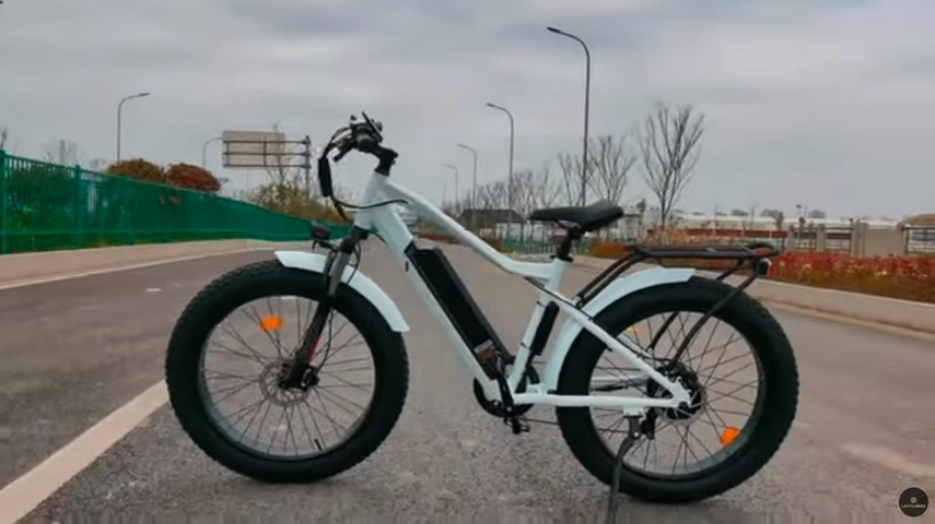 Προσαρμοσμένη λίπος ελαστικό Ebike