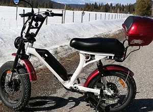 Πώς λειτουργεί διπλή μοτέρ Ebikes;